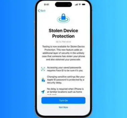那坡苹果授权维修店分享被盗设备保护功能开启方法 