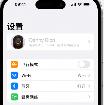 那坡appleID维修服务iPhone设置中Apple ID显示为灰色无法使用 