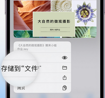 那坡apple维修中心分享iPhone文件应用中存储和找到下载文件