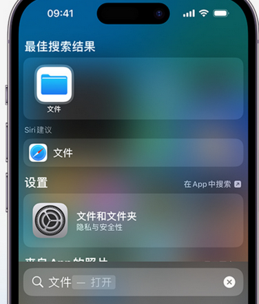 那坡apple维修中心分享iPhone文件应用中存储和找到下载文件 