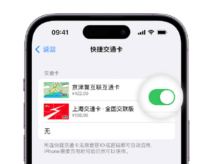 那坡apple维修点分享iPhone上更换Apple Pay快捷交通卡手绘卡面 