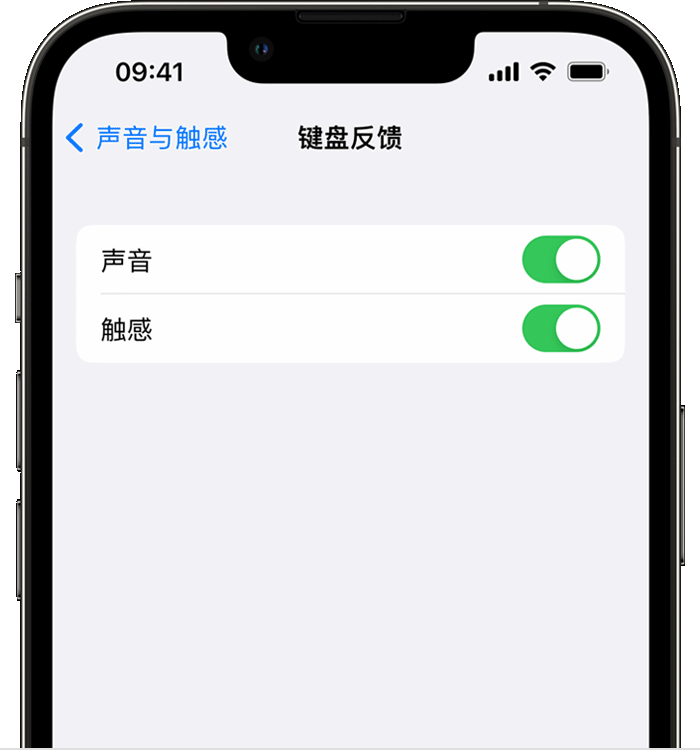 那坡苹果14维修店分享如何在 iPhone 14 机型中使用触感键盘 