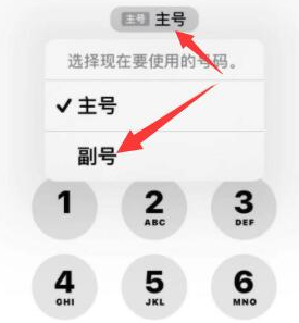 那坡苹果14维修店分享iPhone 14 Pro Max使用副卡打电话的方法 