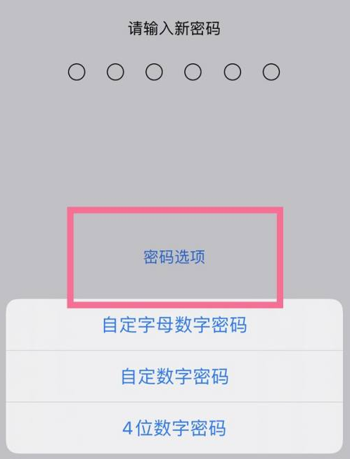 那坡苹果14维修分享iPhone 14plus设置密码的方法 