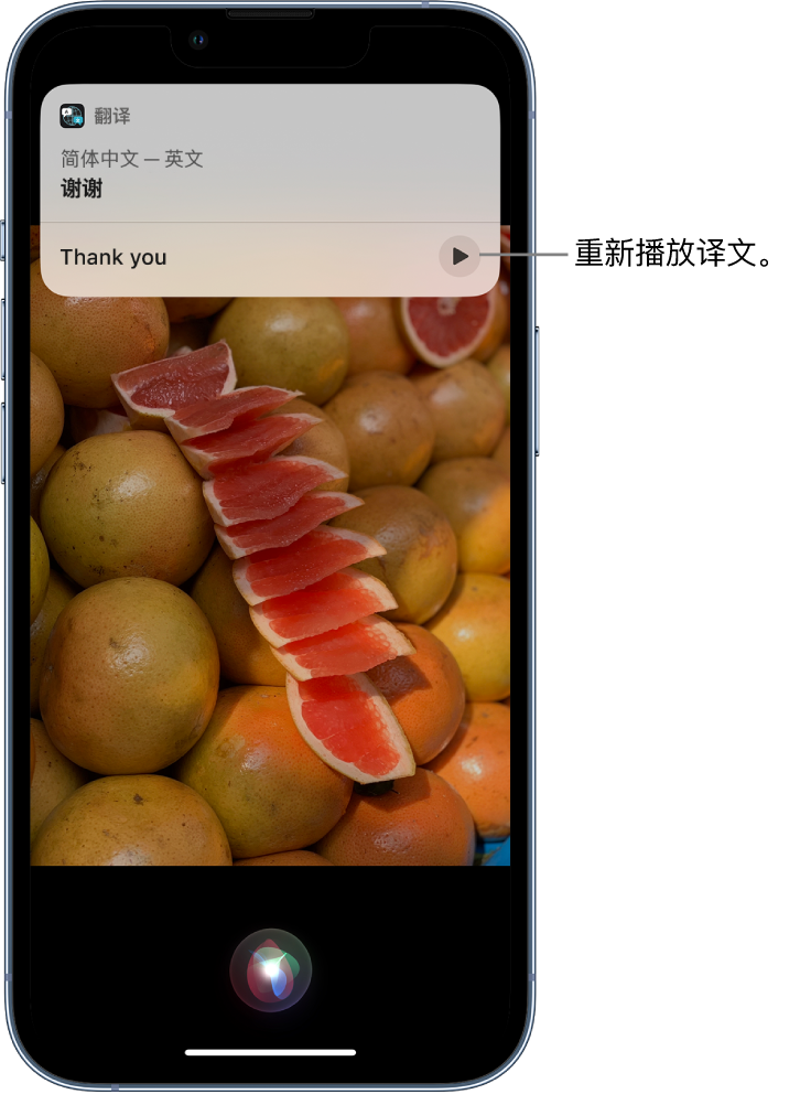 那坡苹果14维修分享 iPhone 14 机型中使用 Siri：了解 Siri 能帮你做什么 