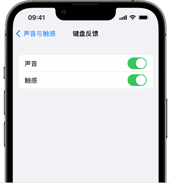 那坡苹果14维修分享iPhone 14 系列机型如何开启键盘声音或触感反馈 