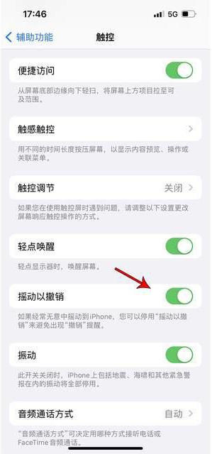 那坡苹果手机维修分享iPhone手机如何设置摇一摇删除文字 