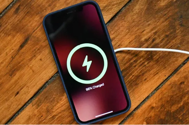 那坡苹果手机维修分享iPhone如何正确充电 