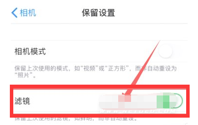 那坡苹果13维修分享iPhone13拍照有绿点是怎么回事 