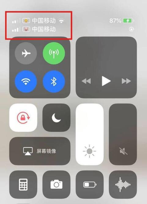 那坡苹果手机维修分享为 iPhone 12 双卡设置标签 